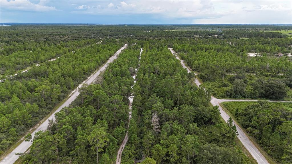 An aerial view shows paved roads intersecting through a dense, wooded area of undeveloped land — 961 FLEETWAY STREET, LAKE PLACID, FL