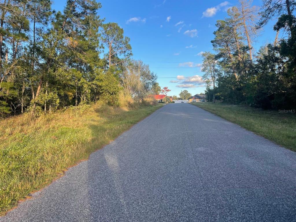A paved road leads through a wooded area toward houses in the distance — 0 SW 157TH STREET, OCALA, FL