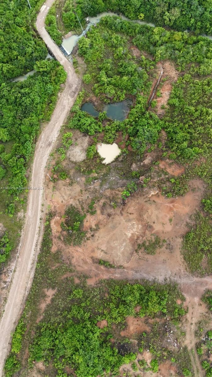 An aerial view shows a dirt road running alongside a wooded lot with small ponds — Corr Juan Diaz Anton Republic of Panama, 00 000000, 00