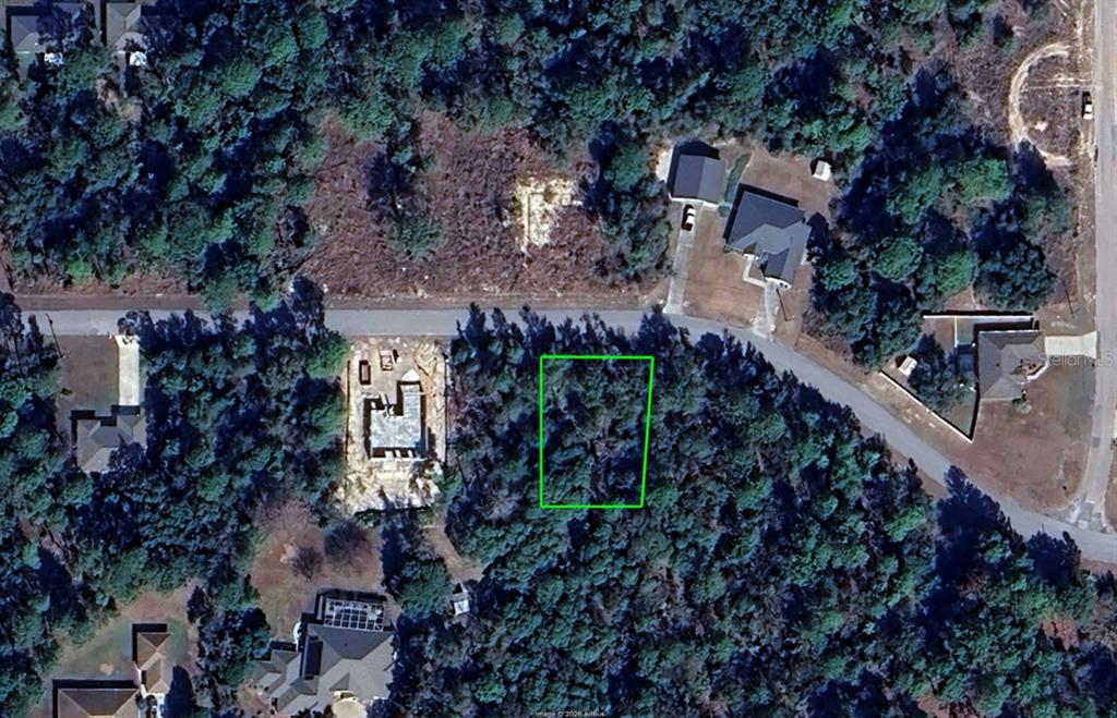 An aerial view shows a vacant, wooded lot outlined in green next to a residential street — 3012 W EUNICE DRIVE, DUNNELLON, FL