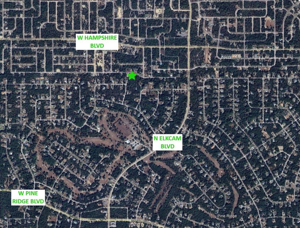 This is an aerial map showing residential streets, wooded areas, and labeled major thoroughfares — 3012 W EUNICE DRIVE, DUNNELLON, FL
