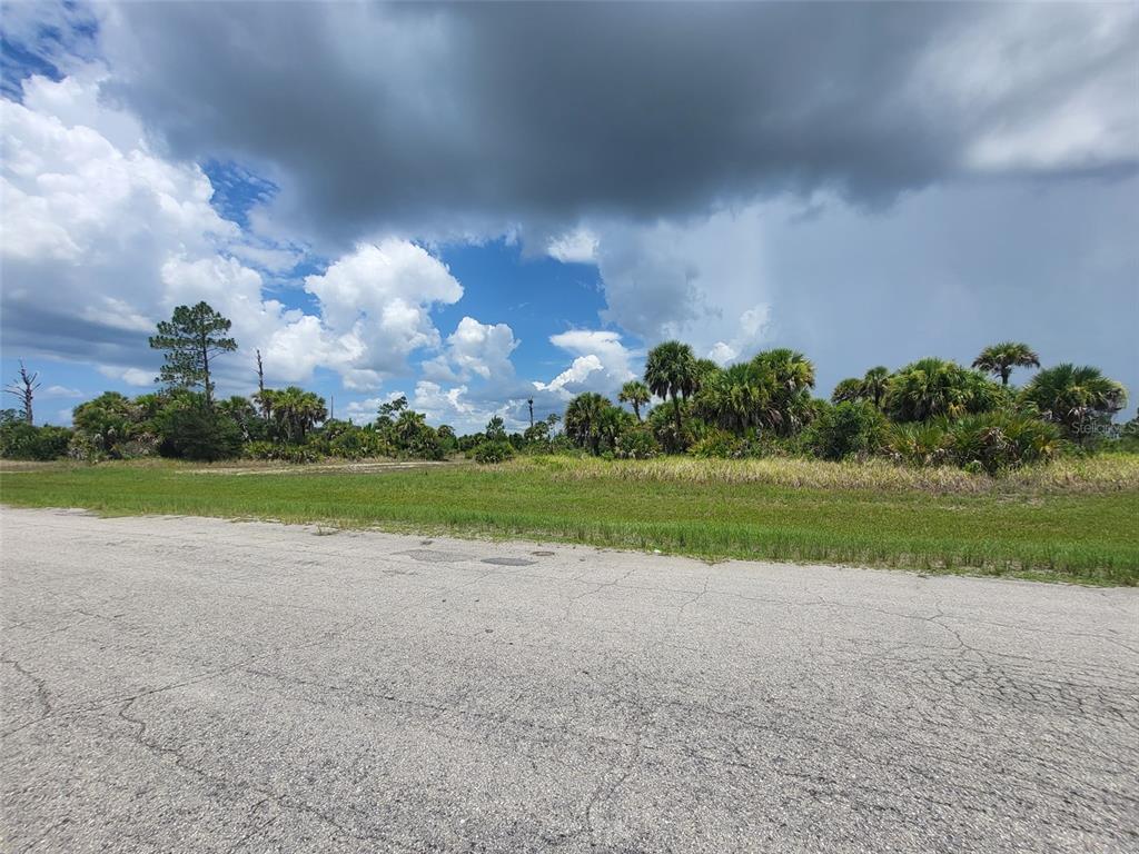 A paved road fronts a vacant, grassy lot with scattered palm trees under a cloudy sky — FIELDERS ROAD, NORTH PORT, FL