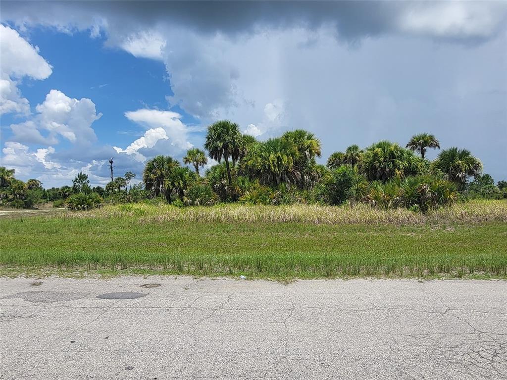 A vacant, grassy lot with palm trees and shrubs under a cloudy sky — FIELDERS ROAD, NORTH PORT, FL
