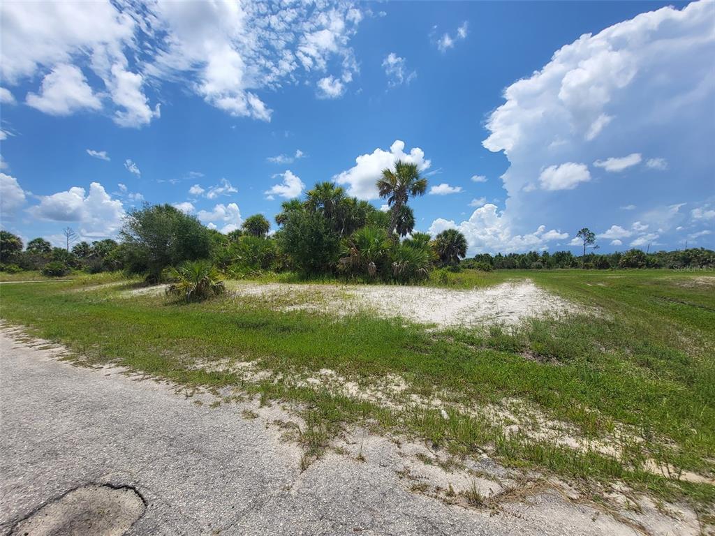 A vacant, grassy lot with sandy patches and scattered palm trees under a cloudy sky — FIELDERS ROAD, NORTH PORT, FL