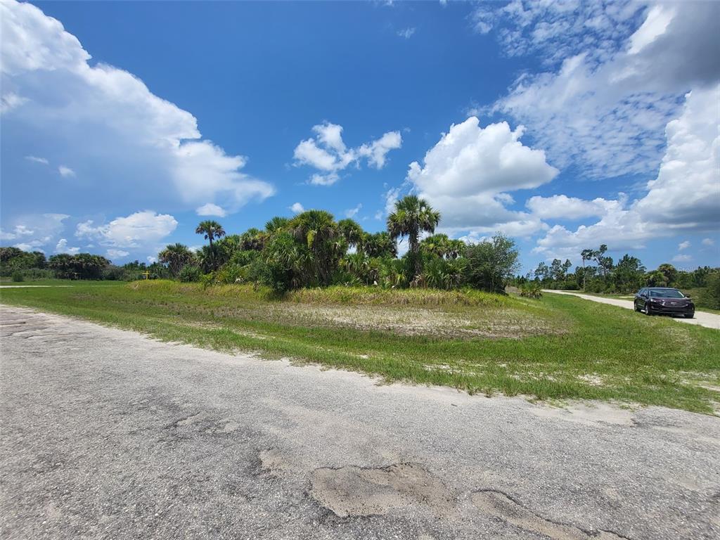 A vacant, grassy lot with palm trees and shrubs sits beside a paved road — FIELDERS ROAD, NORTH PORT, FL