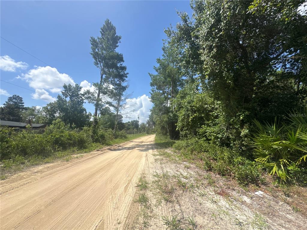A dirt road runs between trees and dense vegetation under a clear blue sky — 0 NORTH CIRCLE E, PAISLEY, FL