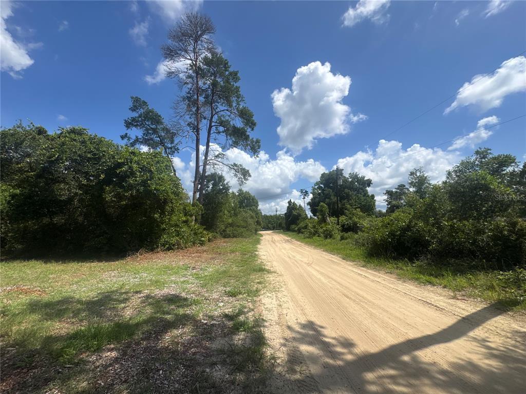 A dirt road runs through a wooded area under a blue sky with clouds — 0 NORTH CIRCLE E, PAISLEY, FL