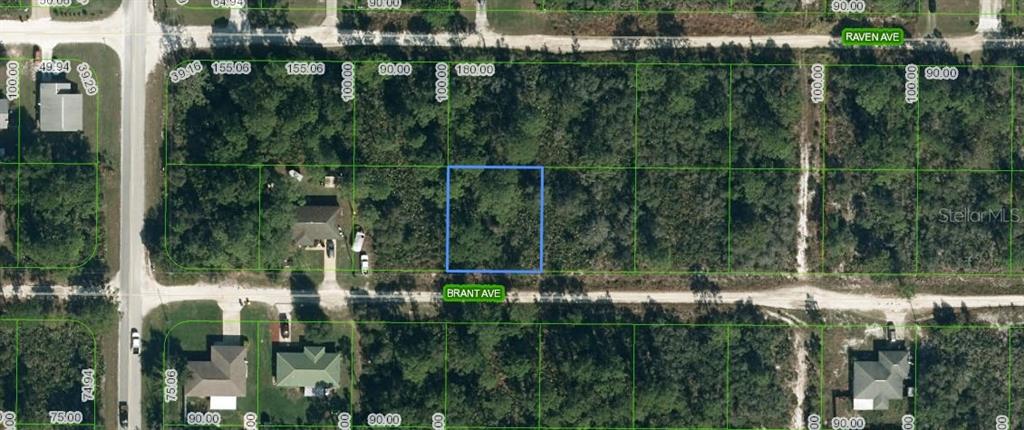 247 BRANT AVENUE, SEBRING, FL — photo 3 of 3