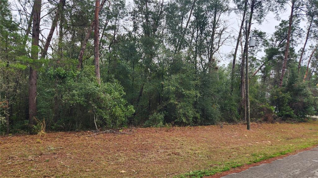 LOCUST COURSE RADIAL, OCALA, FL — photo 2 of 3