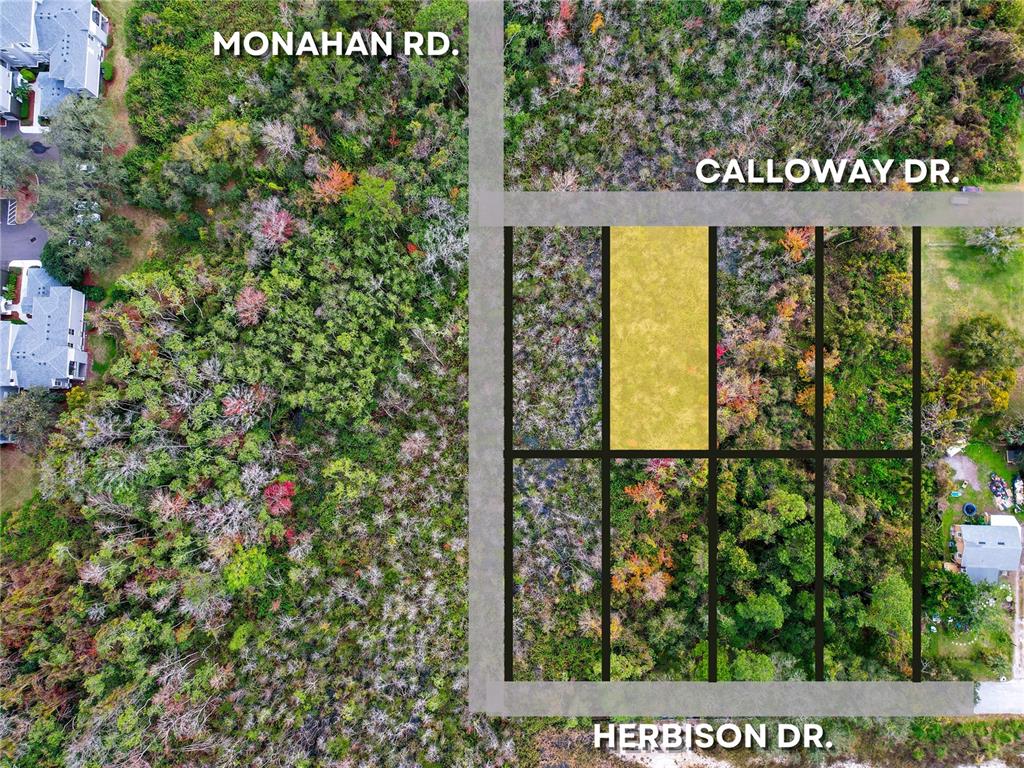 This aerial map shows a highlighted rectangular plot of land surrounded by wooded areas — 2207 CALLOWAY DRIVE, ORLANDO, FL