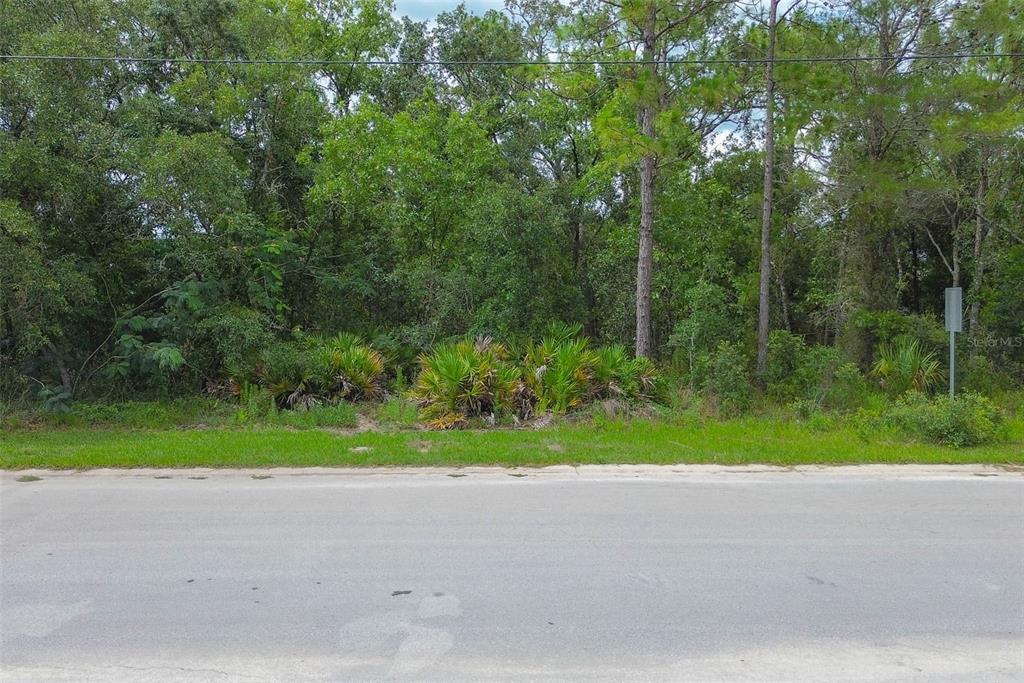 A view of a wooded, undeveloped residential lot from an adjacent paved road — 6859 W MERRIVALE LANE, HOMOSASSA, FL
