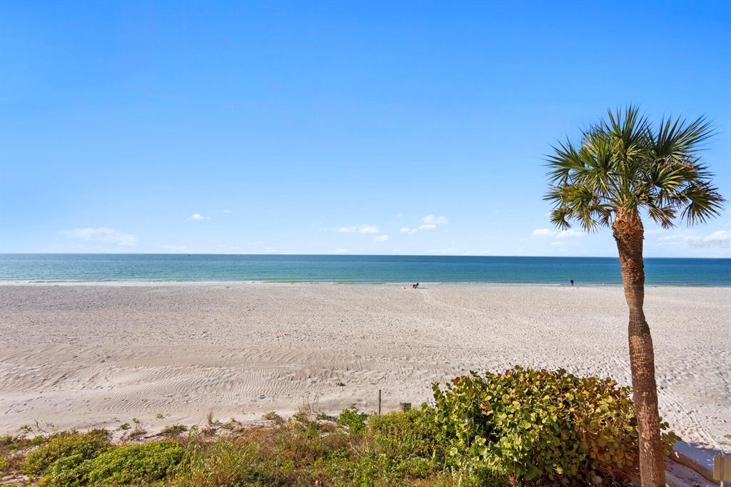A palm tree stands on a sandy beach overlooking the ocean under a clear sky — 2900 GULF BOULEVARD UNIT 211, BELLEAIR BEACH, FL