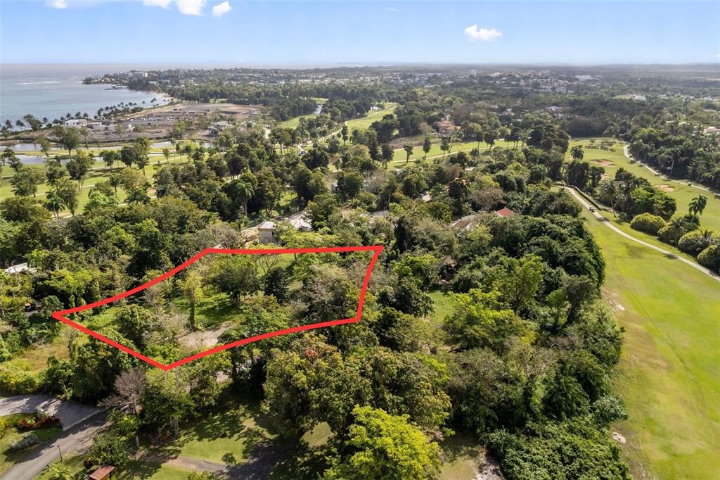 An aerial view shows a wooded lot outlined in red next to a golf course — #8 VILLA DORADO ESTATES, DORADO, PR