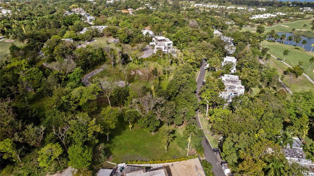 An aerial view shows a large, wooded residential lot situated between a road and a golf course — #8 VILLA DORADO ESTATES, DORADO, PR