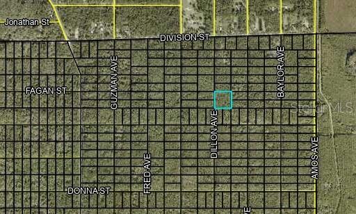 000 DILLON AVENUE, HASTINGS, FL — photo 2 of 4