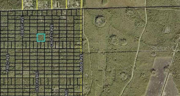 000 DILLON AVENUE, HASTINGS, FL — photo 3 of 4