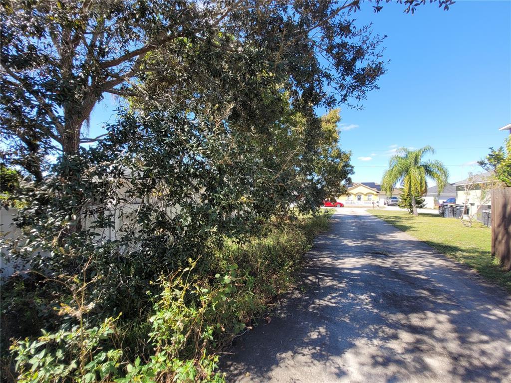 A paved driveway leads toward a yellow house past a large tree and overgrown vegetation — 1929 MANATEE DRIVE, POINCIANA, FL