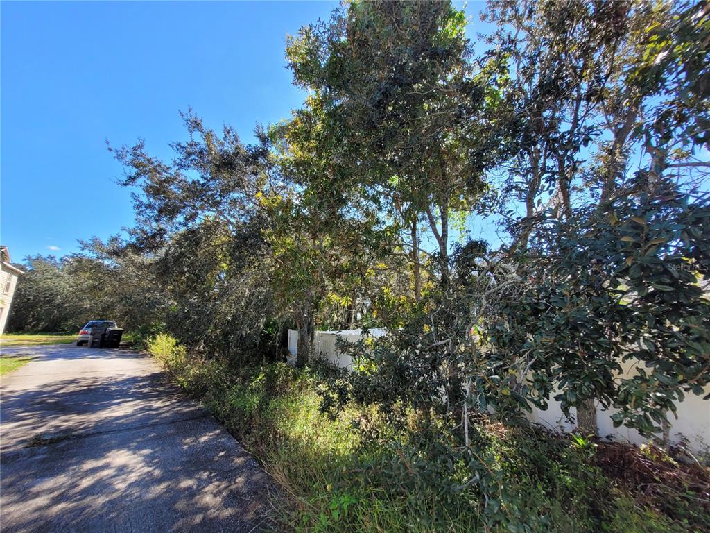 A paved driveway leads toward a white fence partially obscured by dense trees and foliage — 1929 MANATEE DRIVE, POINCIANA, FL