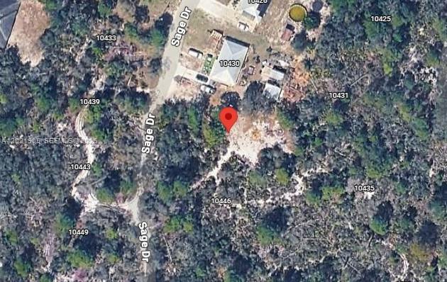 This is a satellite map view of a residential lot on a wooded street — 10440 Sage Dr, Sebring FL 33875, SEBRING, FL