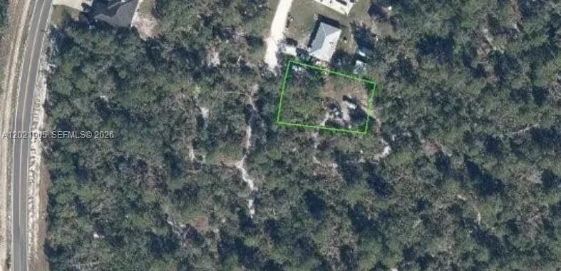 An aerial view shows a rectangular plot of land outlined in green amidst dense trees — 10440 Sage Dr, Sebring FL 33875, SEBRING, FL