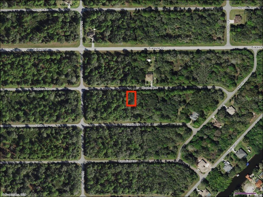 This is an aerial map showing a rectangular lot highlighted in red within a wooded area — 14119 HUGHES AVENUE, PORT CHARLOTTE, FL