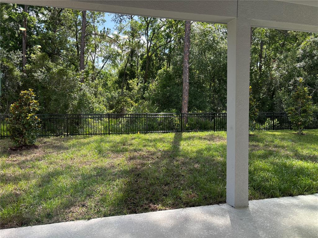 A view from a covered patio looking out onto a grassy yard and wooded area — 2734 RAINDROP RUN ST, CLERMONT, FL