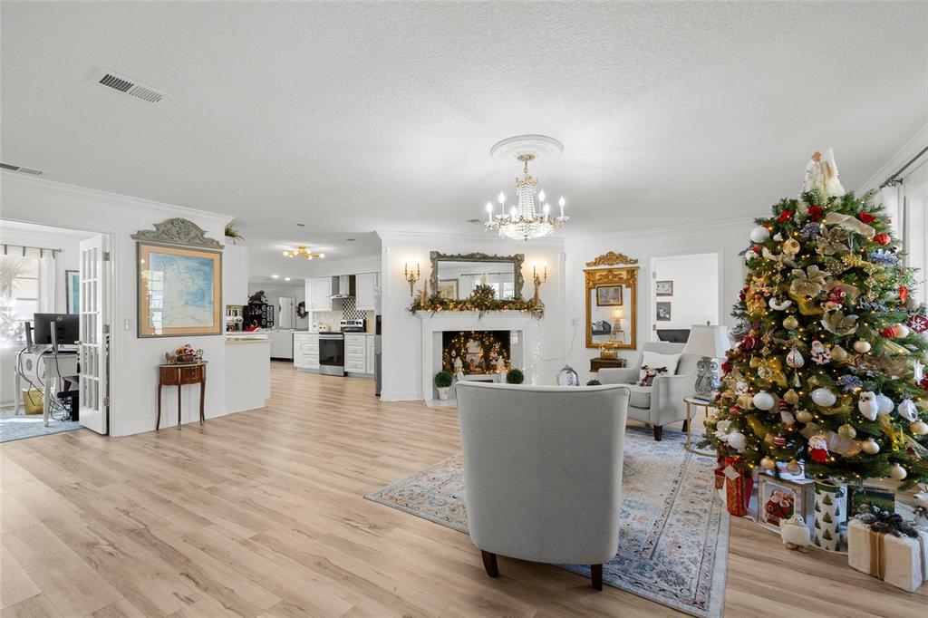 A living room features light wood floors, a fireplace, a chandelier, and a decorated Christmas tree — 172 SW BRADSHAW GLEN, LAKE CITY, FL