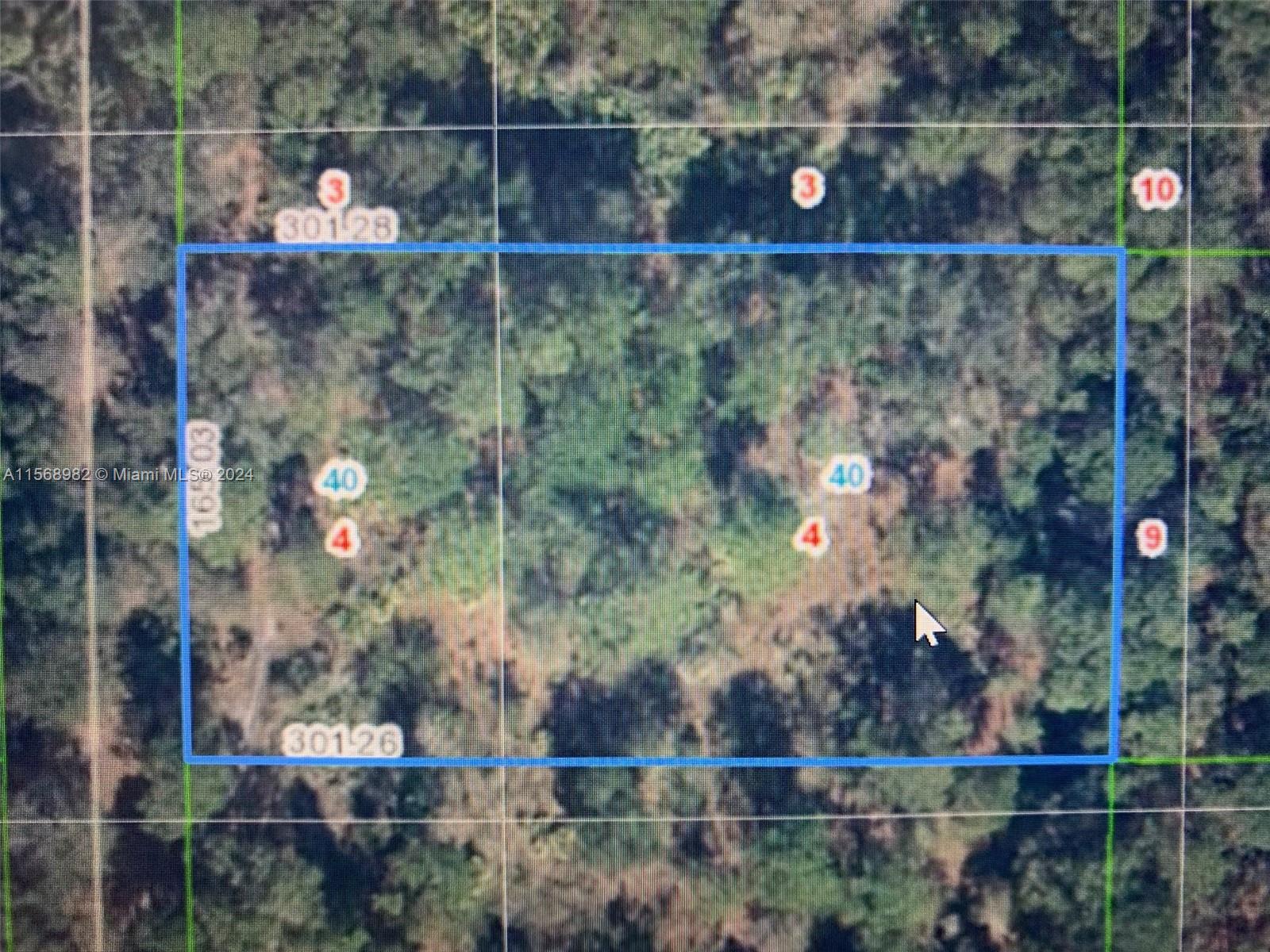 1939 S Griese Road, Avon Park FL 33825