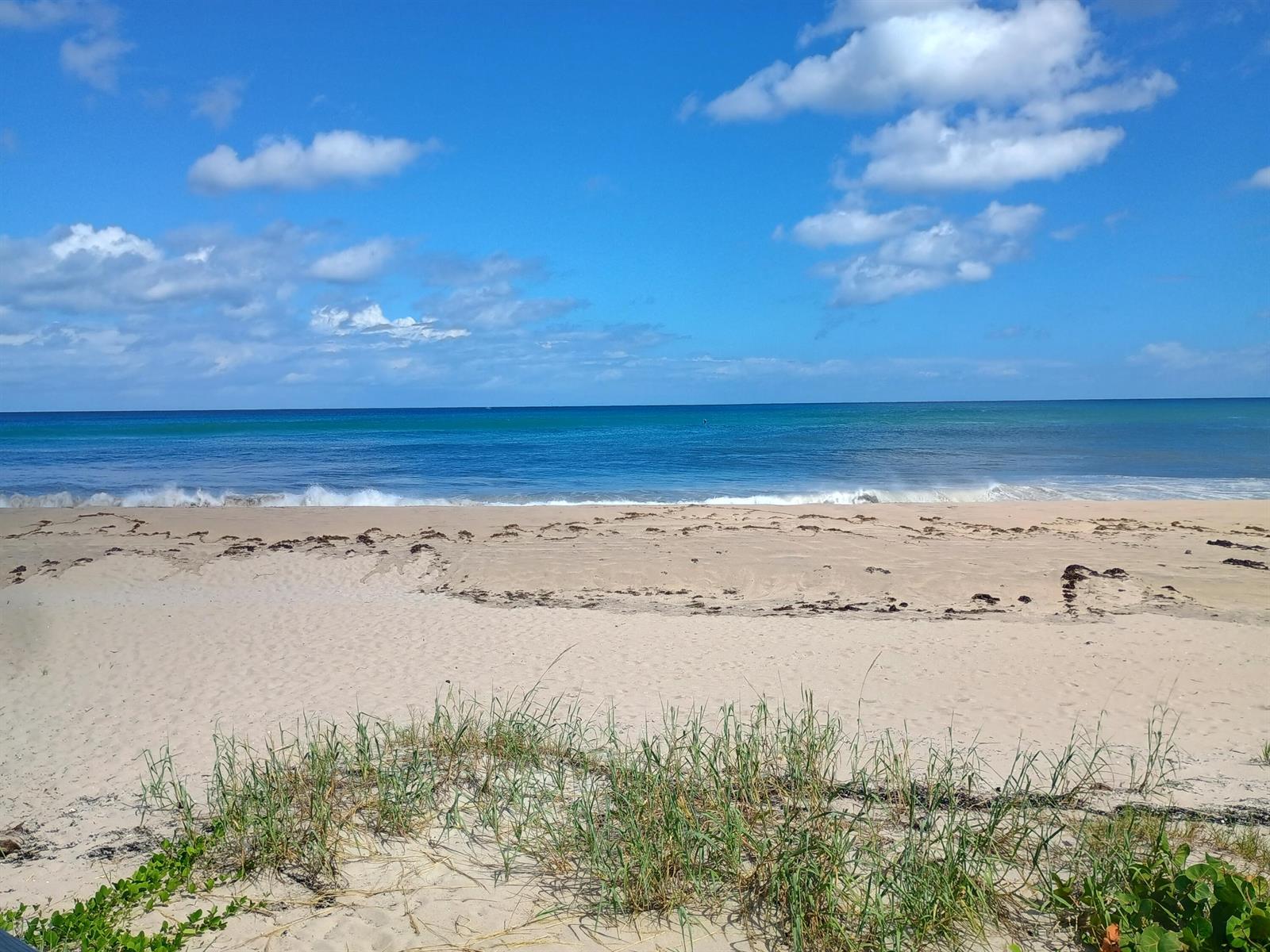 A sandy beach with dune grass in the foreground leads to the blue ocean — 5505 N Ocean Boulevard # 110, Ocean Ridge FL 33435, OCEAN RIDGE, FL