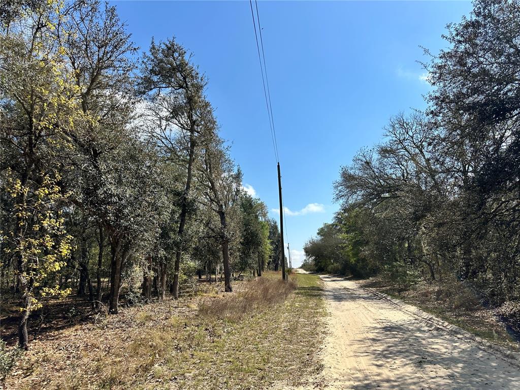 TBD NE 68TH PLACE, BRONSON, FL — photo 2 of 8
