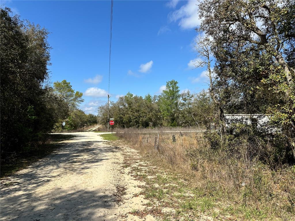 TBD NE 68TH PLACE, BRONSON, FL — photo 3 of 8