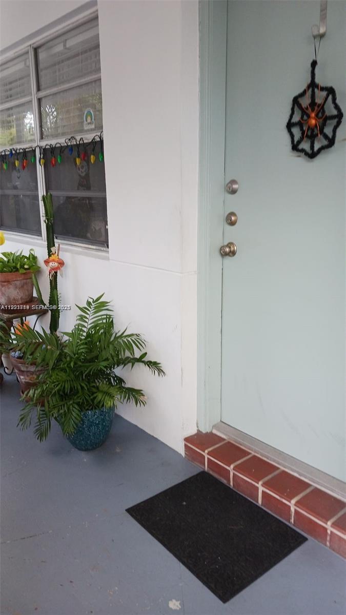 A light blue front door with a spiderweb decoration sits beside a potted palm plant — 645 NE 77th St # 8, Miami FL 33138, MIAMI, FL