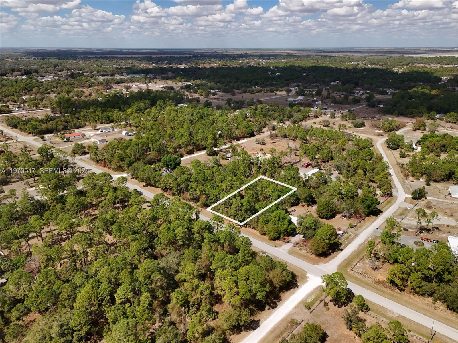 An aerial view shows a rectangular vacant lot outlined in white amidst a wooded area — 439 AVENIDA DEL SUR, Clewiston FL 33440, CLEWISTON, FL