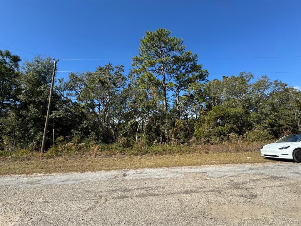 A white car is parked on a paved road in front of a wooded lot — 9066 N BURMANY WAY UNIT 6, CITRUS SPRINGS, FL