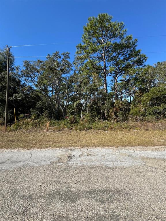 A paved road sits in front of a wooded lot with tall pine trees — 9066 N BURMANY WAY UNIT 6, CITRUS SPRINGS, FL