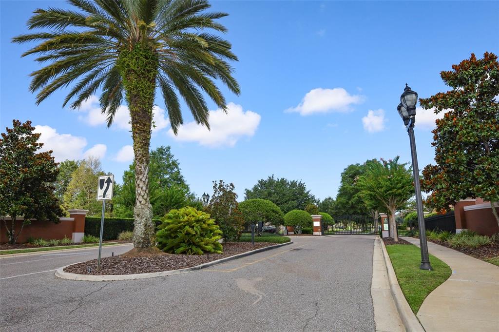 A paved road leads toward a gated entrance framed by palm trees and landscaping — 426 ALEXANDRIA PLACE DRIVE, APOPKA, FL