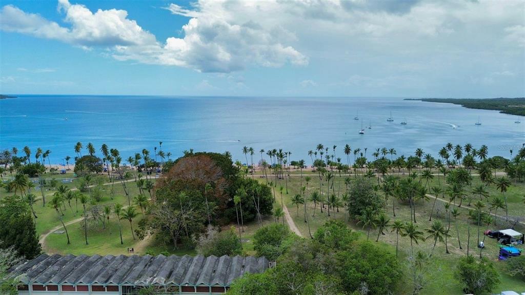 An aerial view shows a grassy park with palm trees leading to a sandy beach — Sola 10 BO LLANOS COSTA, BOQUERON, PR