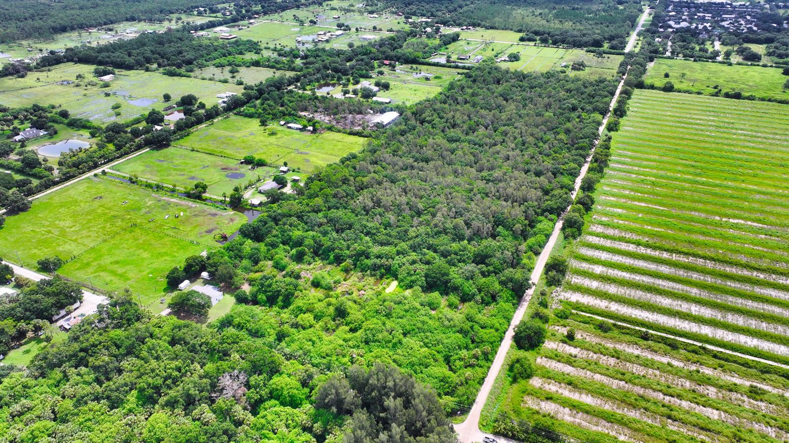 13380 101st Street, Fellsmere FL 32948