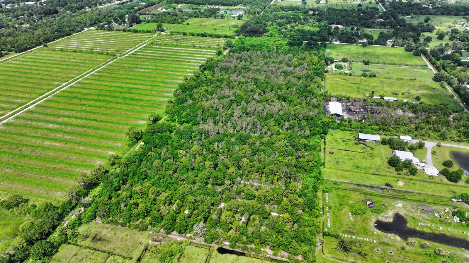 An aerial view shows a large wooded area bordered by agricultural fields and rural properties — 13380 101st Street, Fellsmere FL 32948, FELLSMERE, FL