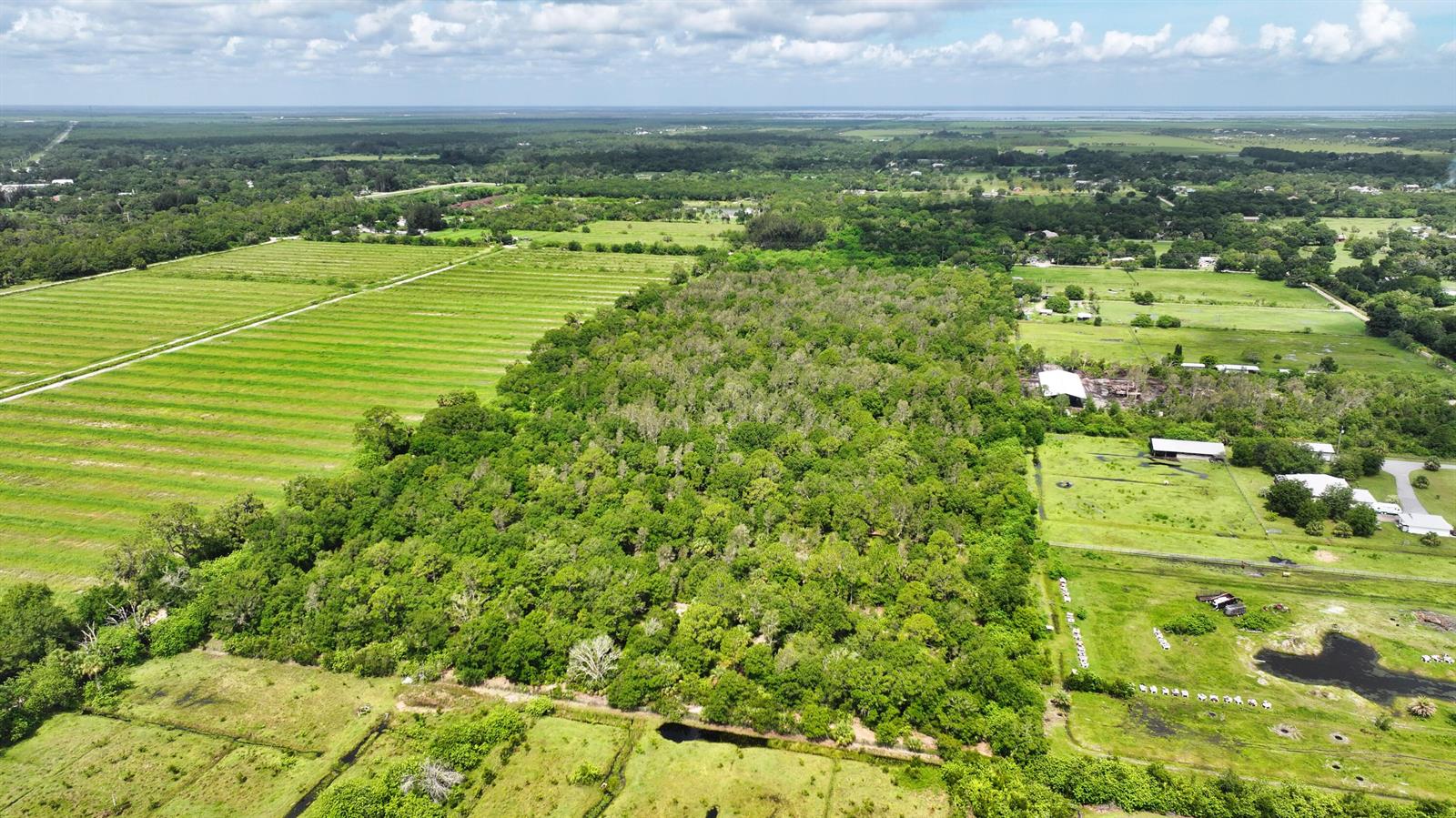 An aerial view shows a large wooded area bordered by agricultural fields and rural properties — 13380 101st Street, Fellsmere FL 32948, FELLSMERE, FL