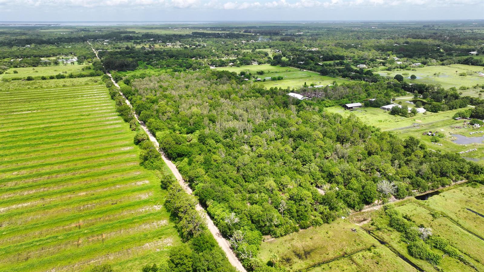 An aerial view shows a dirt road separating a large wooded area from agricultural fields — 13380 101st Street, Fellsmere FL 32948, FELLSMERE, FL