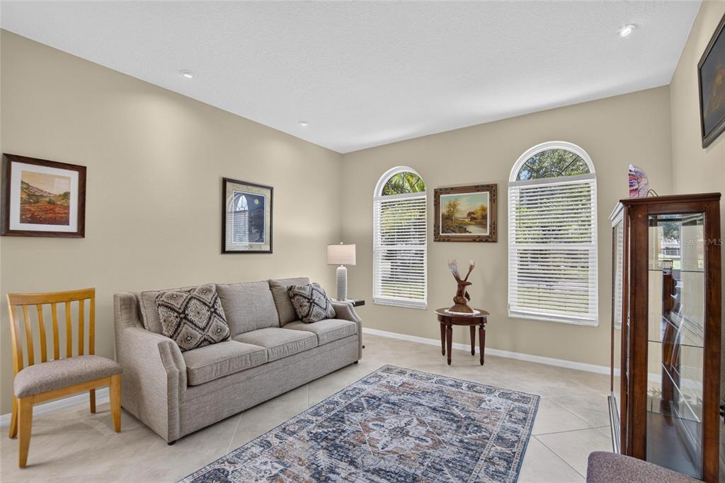 A living room features a beige sofa, patterned area rug, and two arched windows — 11115 SILVER DANCER DRIVE, RIVERVIEW, FL