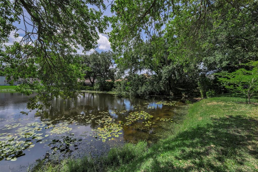 A view of a pond with lily pads surrounded by large trees and grassy banks — 10497 LONGWOOD DRIVE, SEMINOLE, FL