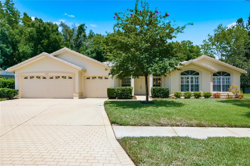 A single-story house with a beige exterior, a paved driveway, and a large front yard — 3187 STERLING STREET, TARPON SPRINGS, FL