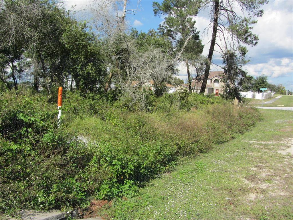 A vacant, overgrown lot with trees and shrubs sits next to a paved road — 1688 CATALINA BLVD, DELTONA, FL