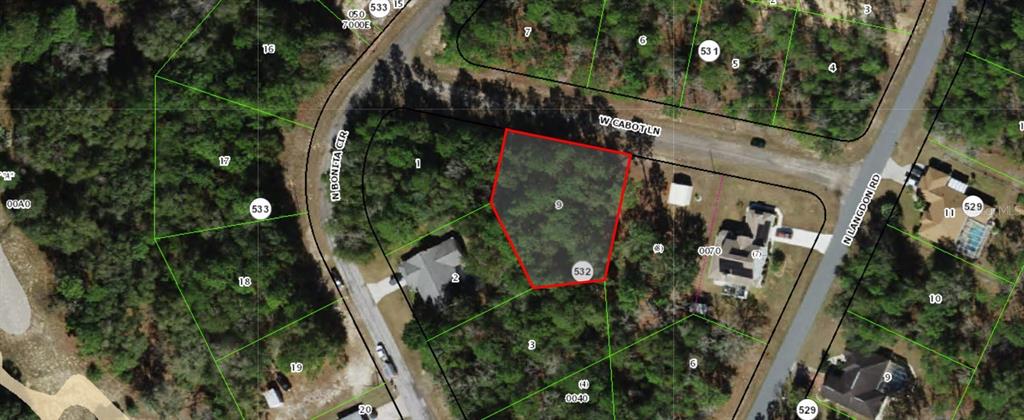 This is an aerial map showing a highlighted vacant lot located between two residential streets — 458 W CABOT LANE, DUNNELLON, FL