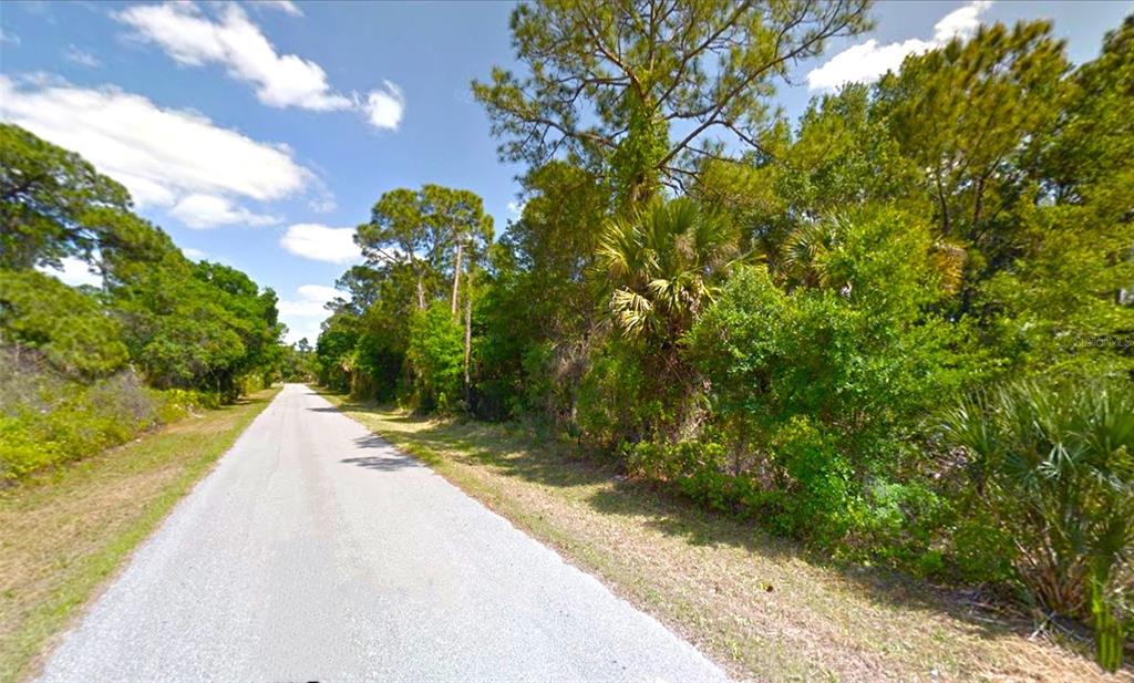 A paved road runs alongside a wooded lot with dense trees and palmetto bushes — 20217 WINKLER AVENUE, PORT CHARLOTTE, FL
