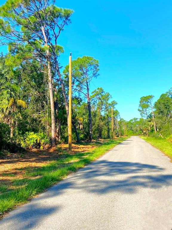A paved road stretches into the distance, flanked by tall pine trees and utility poles — 20217 WINKLER AVENUE, PORT CHARLOTTE, FL
