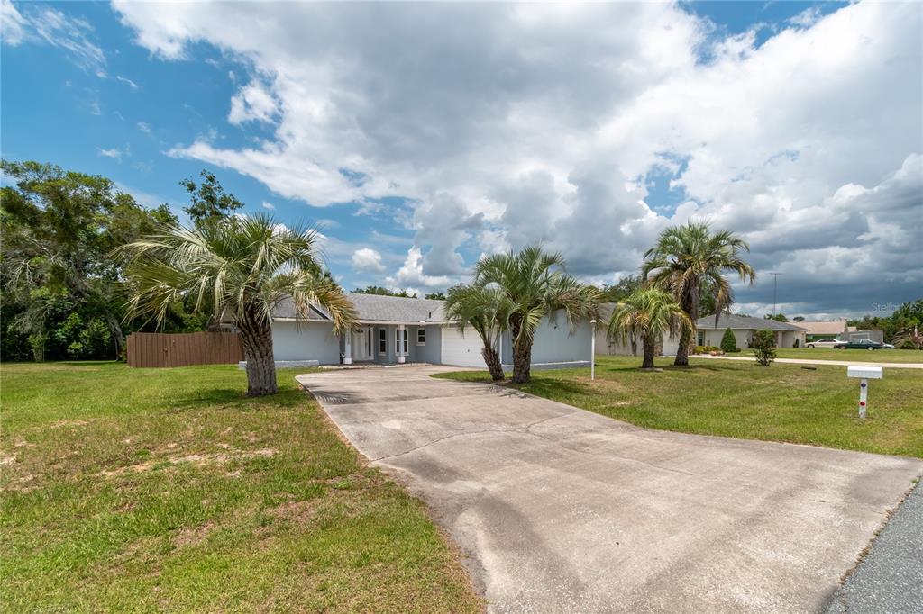 A single-story house with a concrete driveway and palm trees under a cloudy sky — 14650 SW 29TH AVENUE ROAD, OCALA, FL