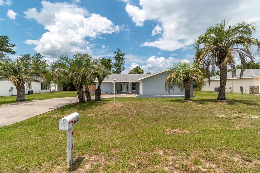 A single-story house with a light gray exterior, palm trees, and a mailbox in the yard — 14650 SW 29TH AVENUE ROAD, OCALA, FL